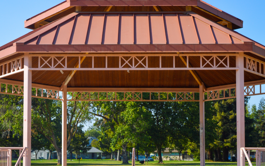 Exploring the Natural Beauty of McBean Memorial Park in Lincoln, California