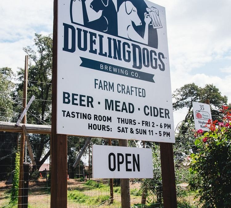 Dueling Dogs Brewing Co.: A Hidden Gem for Beer, Mead, and Family Fun in Lincoln, California