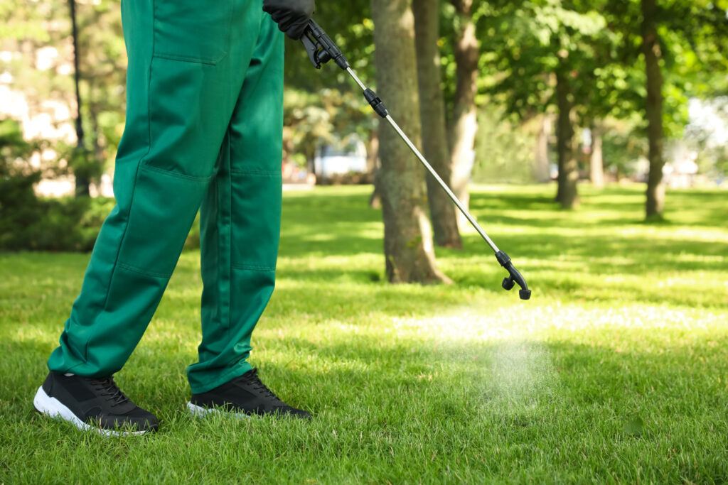 Exploring DIY termite control methods, including application techniques and treatments.