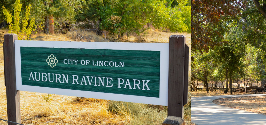 Pursuits: Why Auburn Ravine Park is Lincoln’s Best-Kept Secret