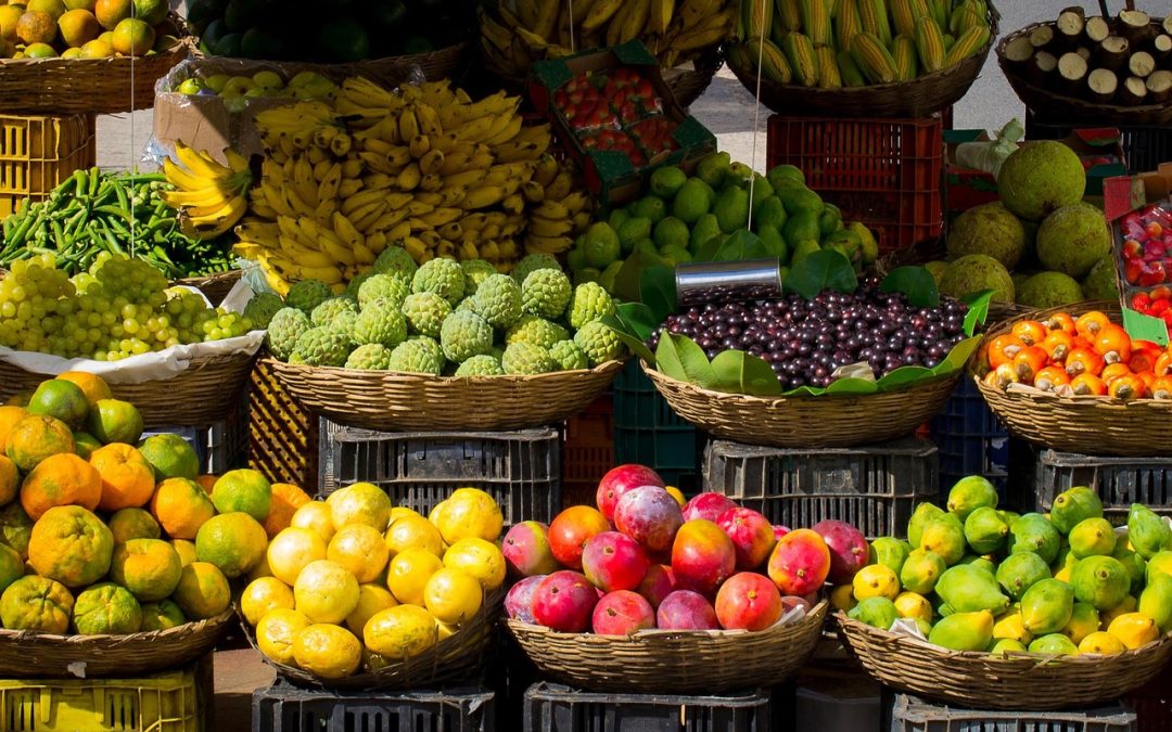 Exploring the Rich Traditions of Placer County Farming: From 1885 to a Modern Farmers Market