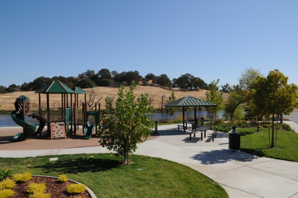 Coyote Pond Park: Where Nature Meets Playground and Geese Steal Your Sandwiches