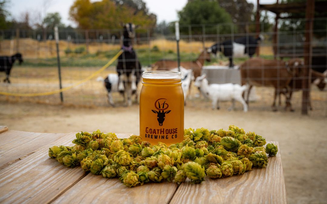 Cheers to Goats! Unleashing the Fun at Goathouse Brewing Co.