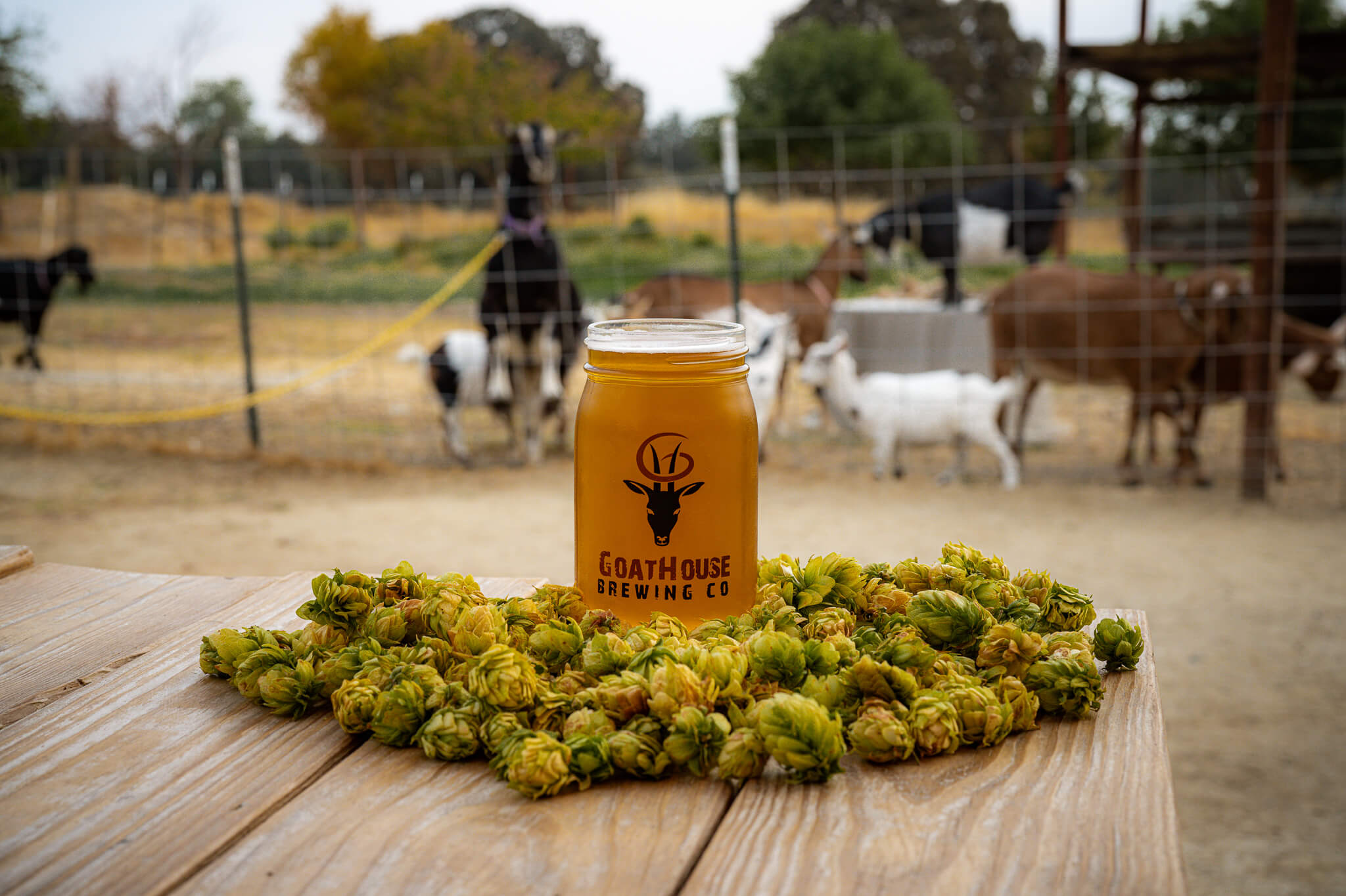 Visit GoatHouse Brewing Co. at Lincoln, California