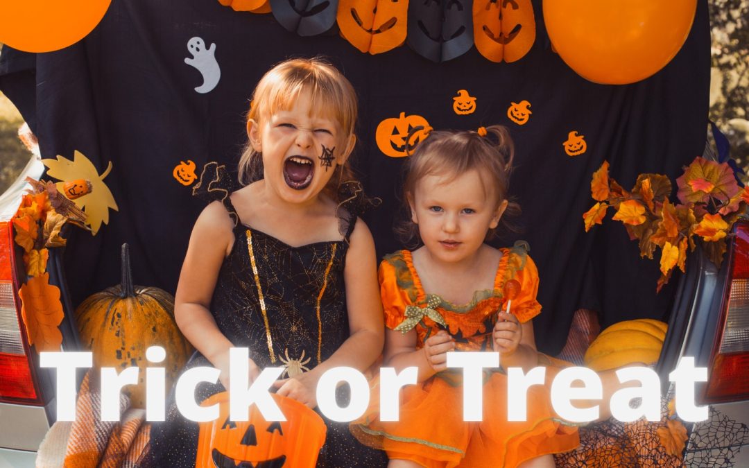 Pumpkins, Parties, and More: Fall Activities in Lincoln, CA