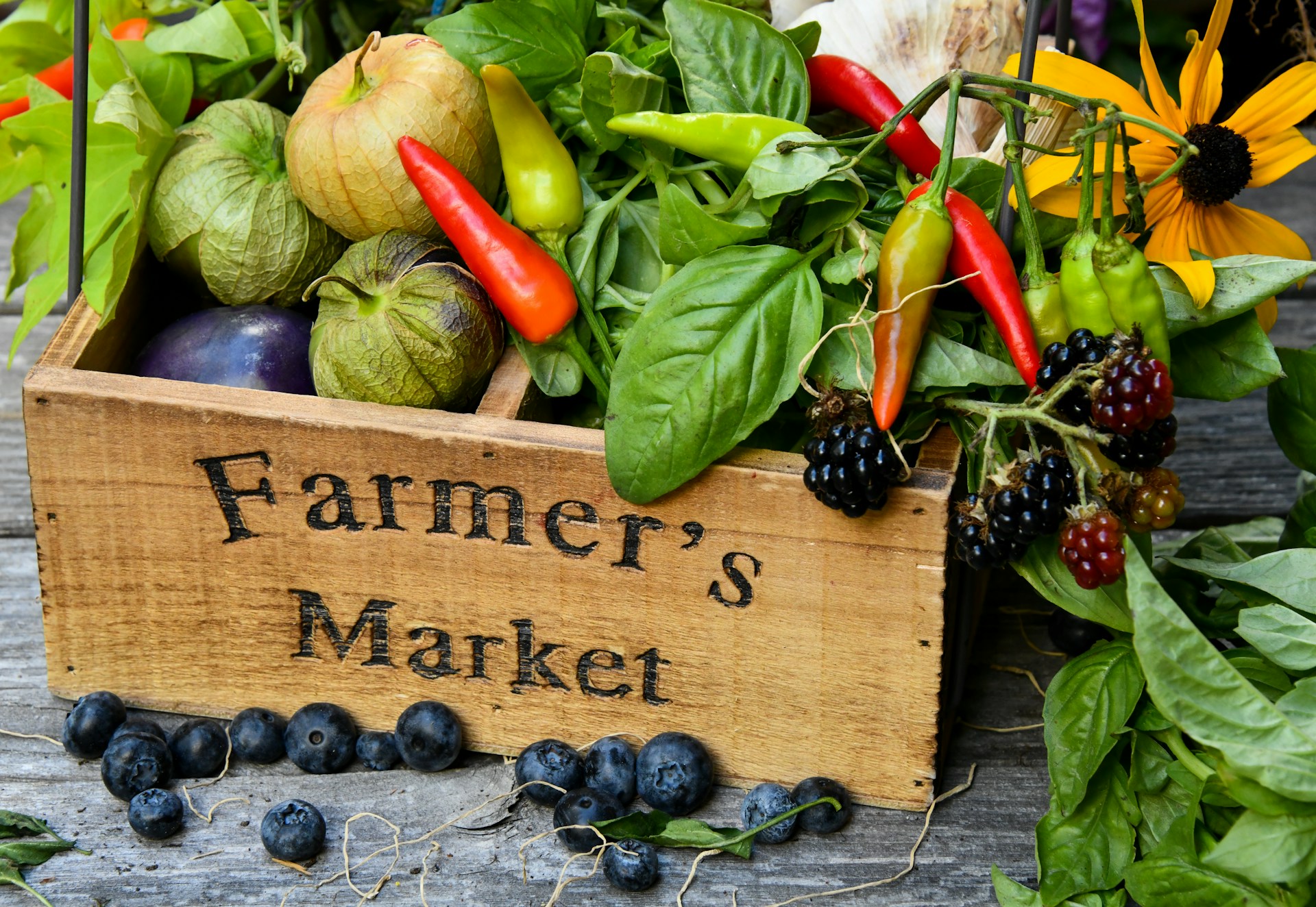 Local Eats and Treats: Your Guide to Fowler Ranch Farmers Market in Lincoln, CA