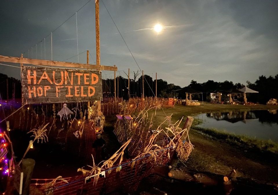 Spooky Season Comes to Lincoln: The Haunted Hop Field Returns