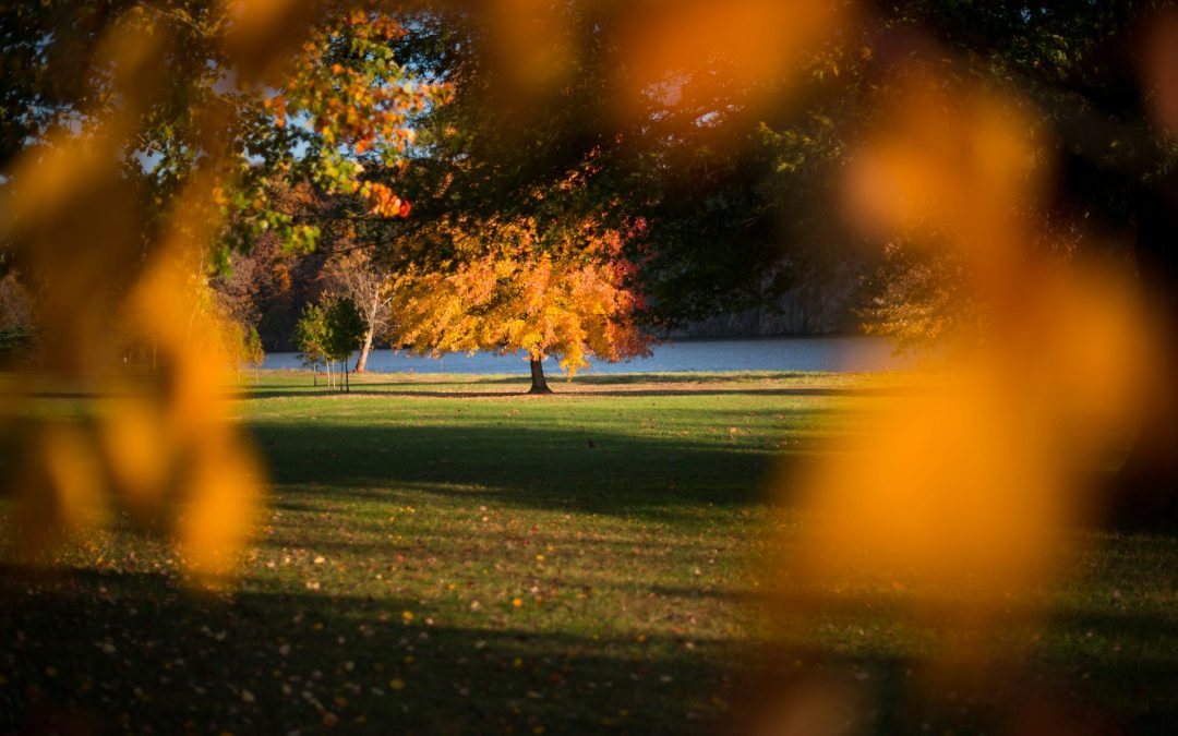 Family-Friendly Parks in Lincoln for Take A Walk Outdoors Day