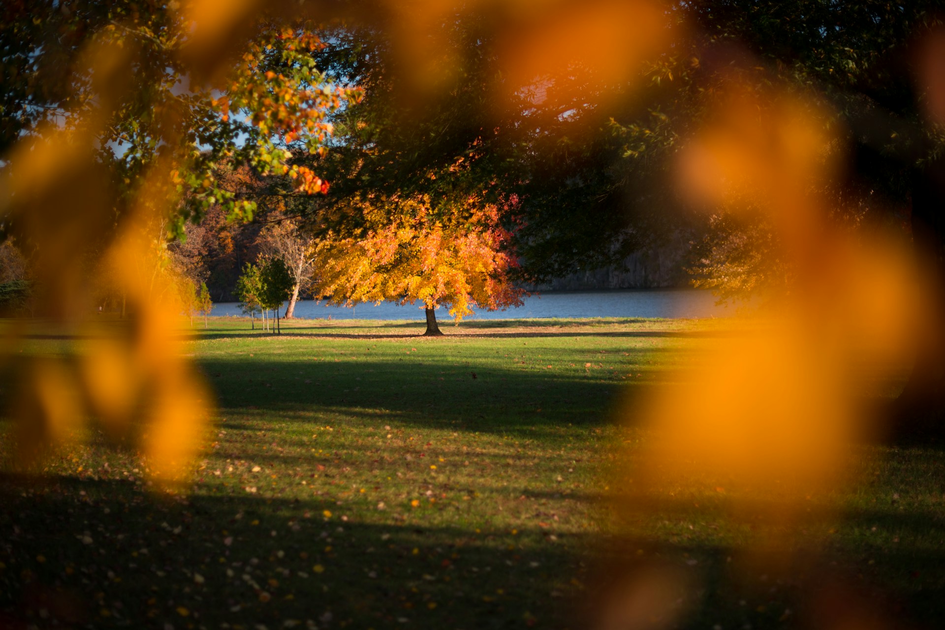 Family-Friendly Parks in Lincoln for Take A Walk Outdoors Day